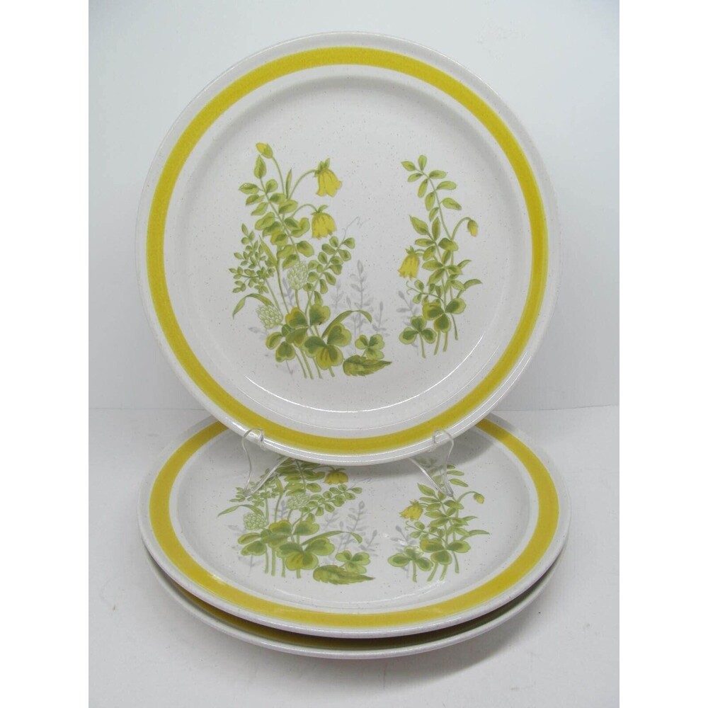 Chadds Ford Spring Meadow Stoneware 10 3/4" Dinner Plates Bundle of 3
